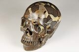 Polished Septarian Skull - Madagascar #199605-2